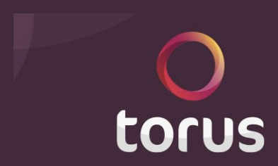 Torus logo